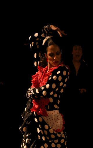 teatro flamenco en Barcelona