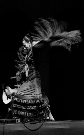 espectaculo flamenco en Barcelona